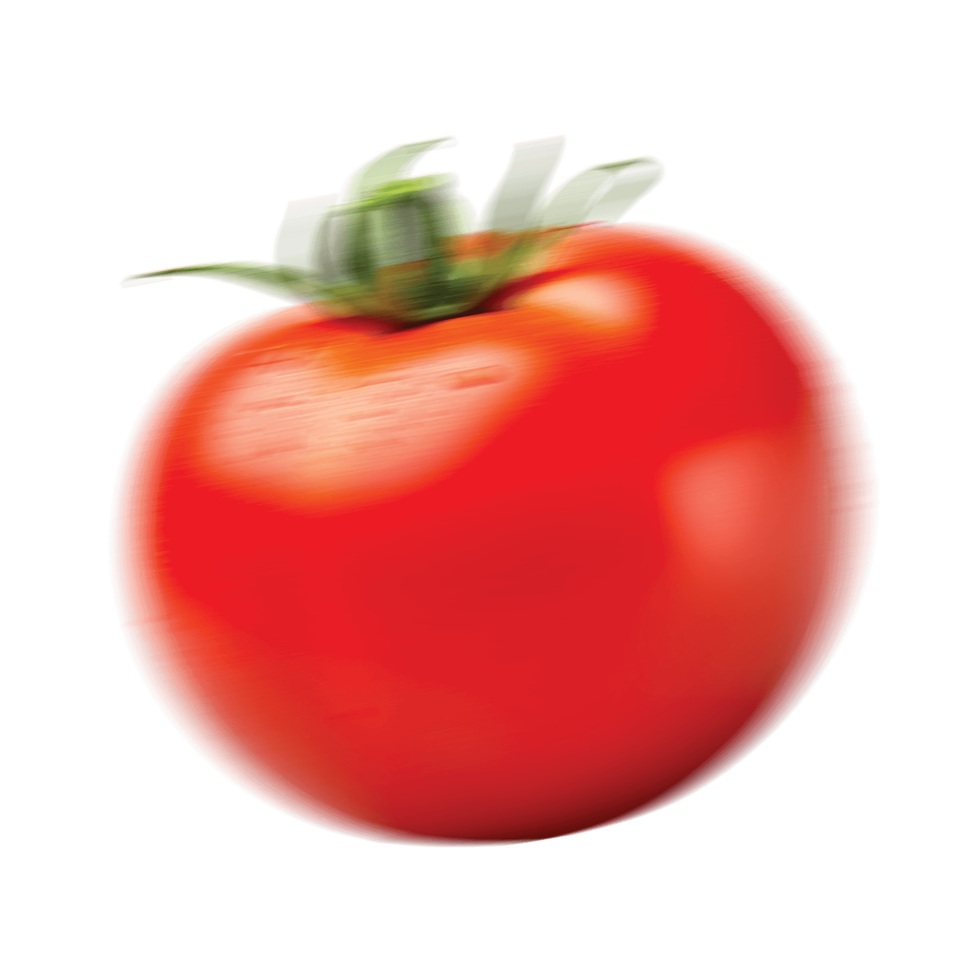 Fresh vegetables
